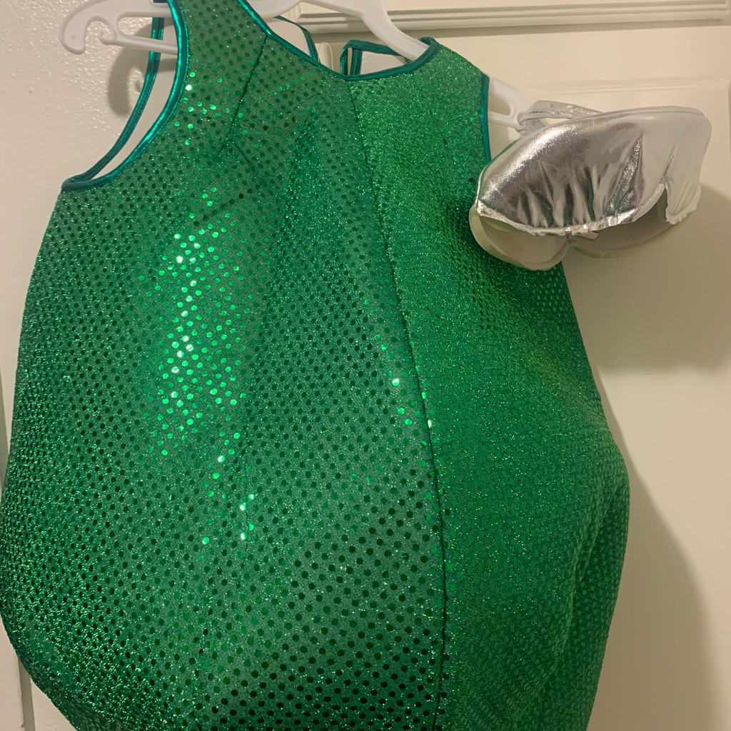 Christmas Recital Costume